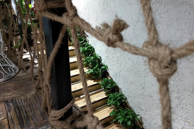 酷派改变者s1128g,酷派改变者s1拆解