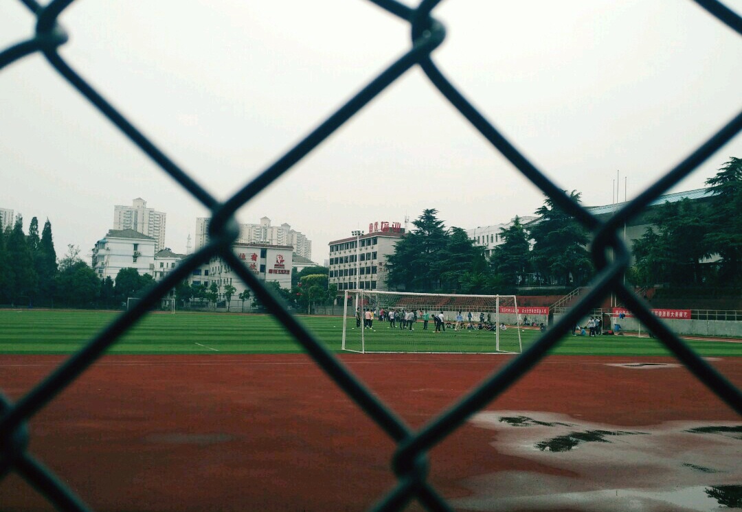 遇见南艺——关于爱与行走和青春