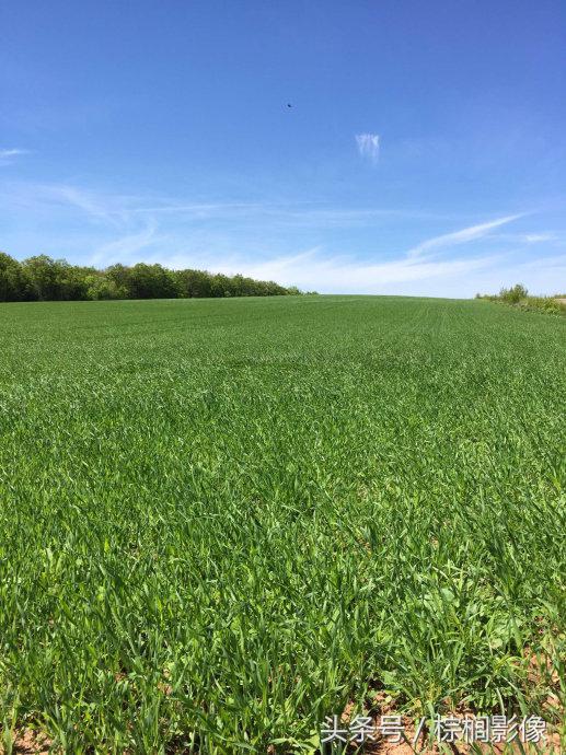 鐖卞痉鍗庣帇瀛愬矝鏈夋病鏈夊畨濡繖涓汉,鐖卞痉鍗庣帇瀛愬矝瀹夊Ξ灏忓眿鍦板潃