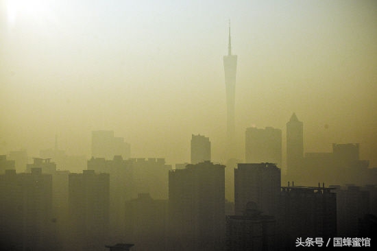 现在雾霾这么大，我得喝点蜂蜜静一静