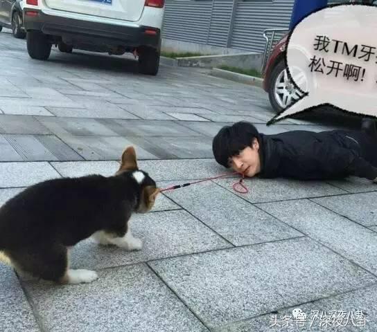 又到一年圣诞节完整视频,又到一年圣诞节