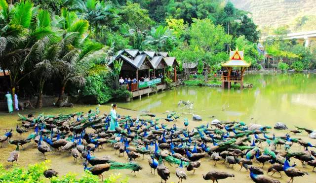 上海到南京高铁最新消息,上海到杭州高铁最新消息