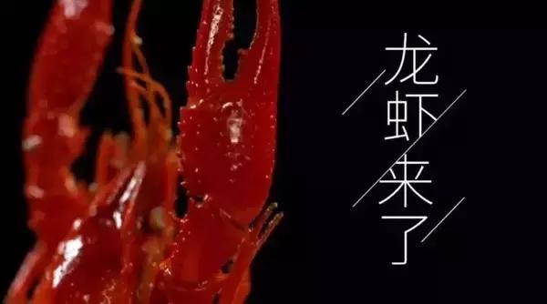 虾贝勒天津路店,虾贝勒儋州店