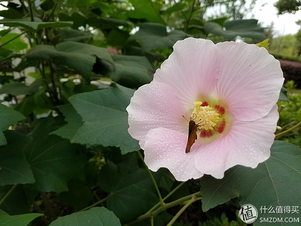 三星galaxys7edge,三星s7edge用了时间长了