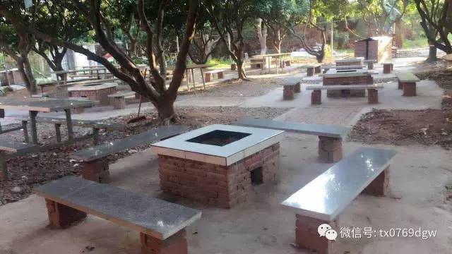 我和新春有个约会视频,我和新年有个约会600字作文