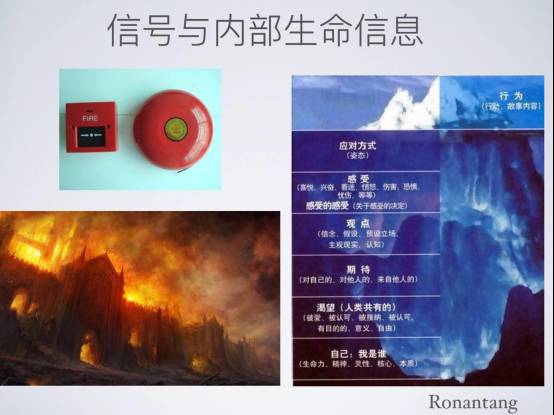 瑜伽经络十二法,唐一杰经络瑜伽