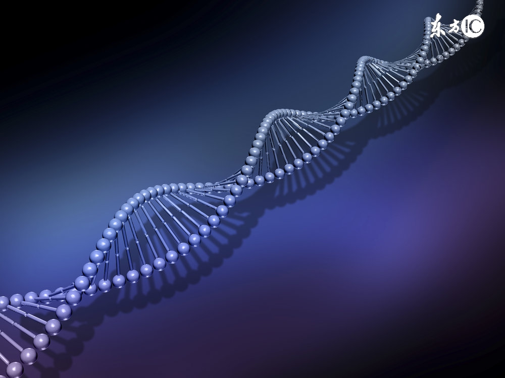 治疗幽门螺杆菌感染特效药有哪些,感染幽门螺杆菌服药期间注意事项