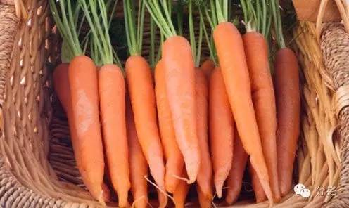 没有羊胎素葡萄树,羊胎素和玻尿酸哪个护肤好