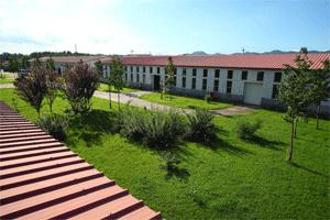 在农村种植什么最合适最挣钱,现在适合农村种植的什么最赚钱