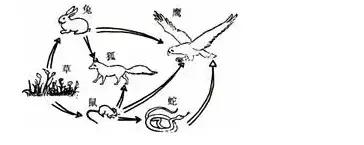 七年级上册生物期末试卷2021安徽,七年级生物人教版期末试卷带答案