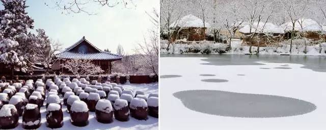济州岛冬天泡温泉,冬天的济州岛好玩吗