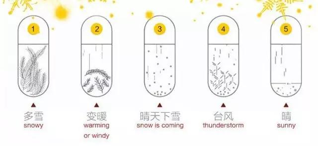 风暴瓶预测天气图解,风暴瓶真的能预测天气吗