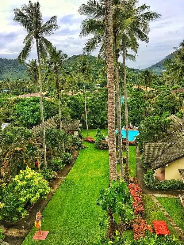 四川帅大叔暴改普吉岛民宿,用时4个月他活出了你最羡慕的样子