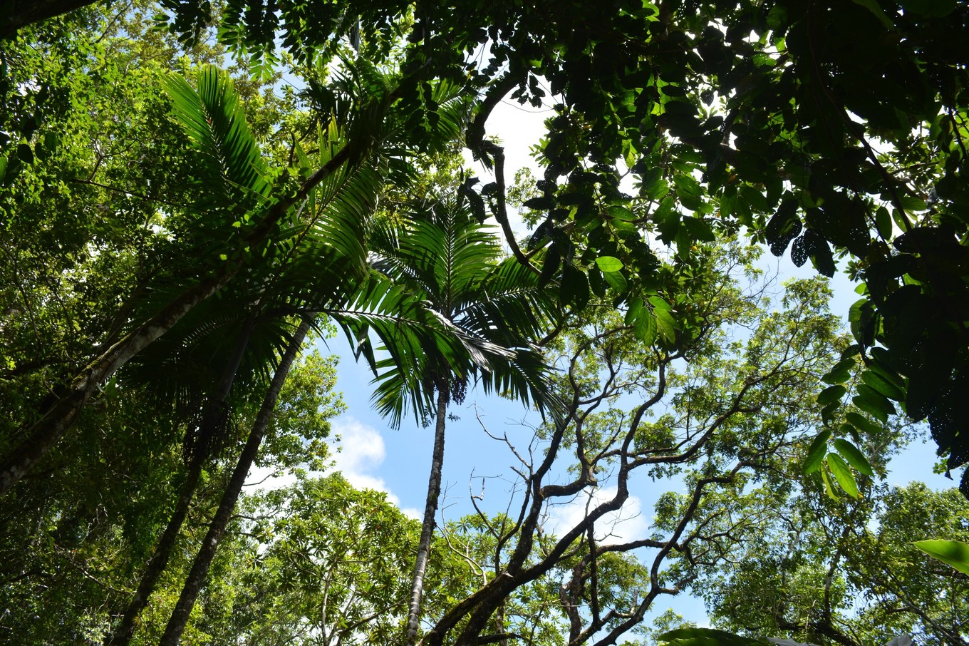 帕劳旅行攻略大全图文,帕劳旅行攻略图文大全