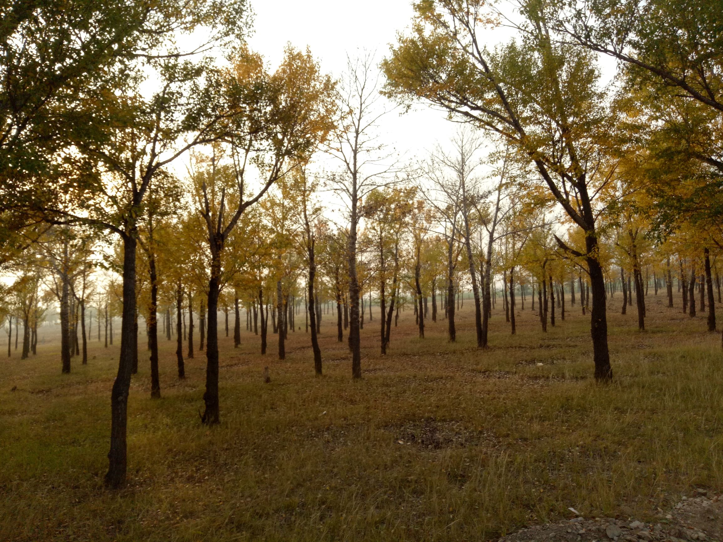 张北天路行,深度还原张北天路