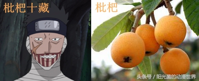 火影忍者忍刀七人众的武器图片,火影忍者忍刀七人众简介