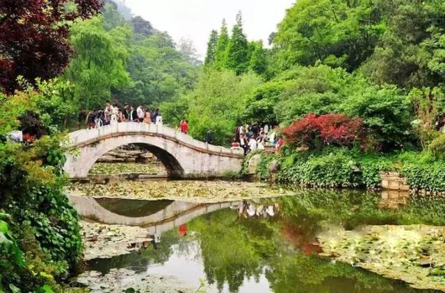深圳去昆明选哪趟高铁风景好,深圳至昆明高铁沿途风景