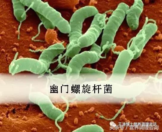 让我们一起加入“幽门螺旋杆菌”的战斗中吧!