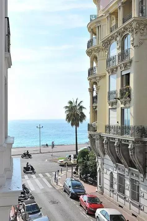 和大象拔河比赛,大象跟大象拔河