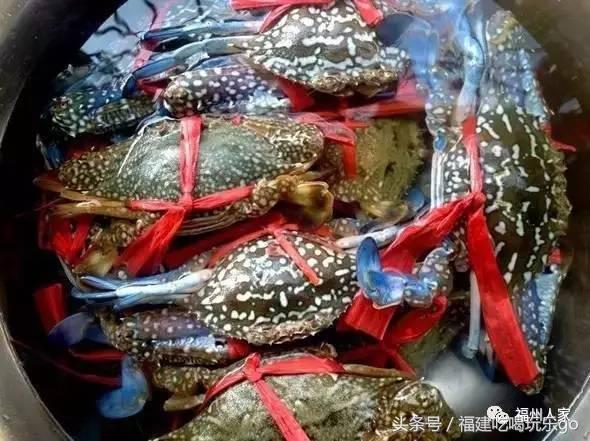 福建十大公认最好吃的菜,福建海鲜美食排行榜前十名