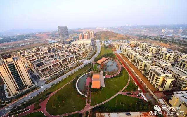 2019株洲改造工程,株洲路改造最新消息