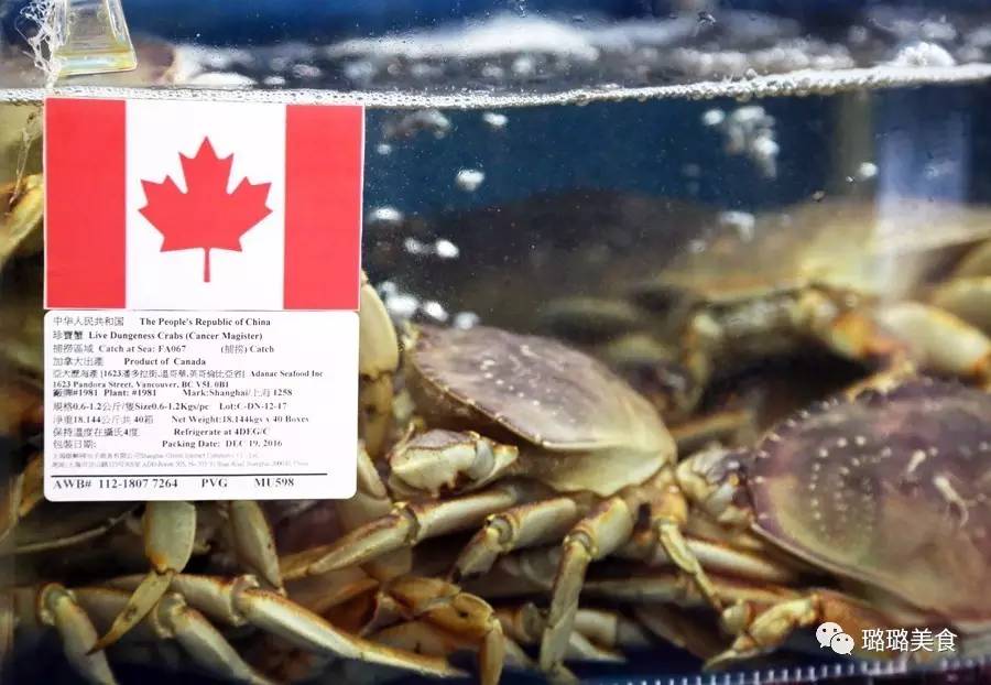 澳加新英美的稀奇海鲜都能在常州这家店吃到！而且元旦连送3天日本松叶蟹！