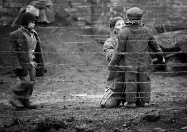 刷完这张片单,一整年的装逼资本都有了(快收藏)