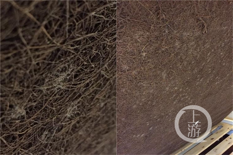 新房床垫进不去,新房入住多久才可以换床垫