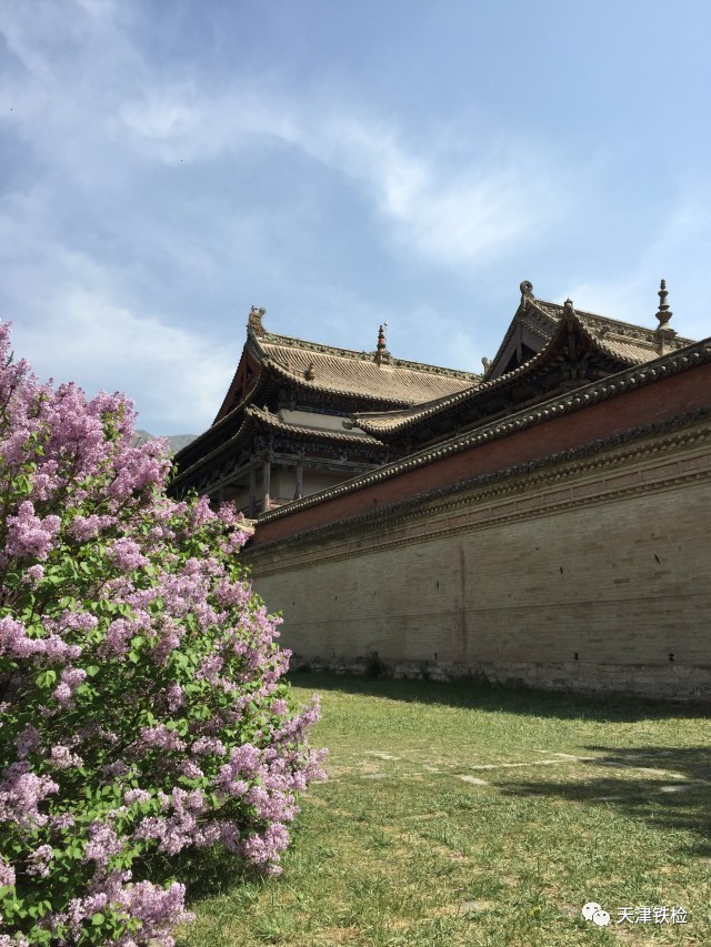 鍜岃皭鑷劧鎽勫奖浣滃搧,鍜岃皭鑷劧鎽勫奖浣滃搧娆h祻