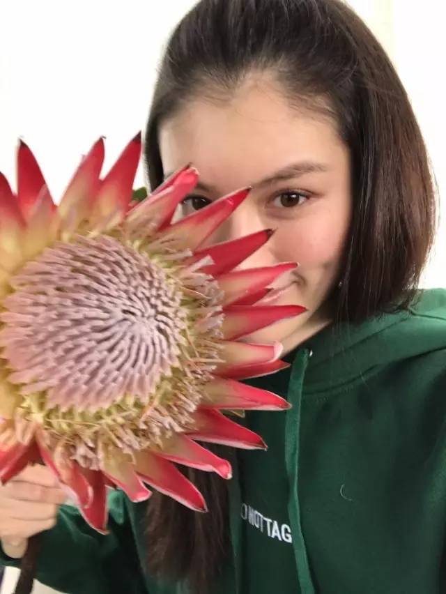 林允陈乔恩丫丫,林允袁姗姗