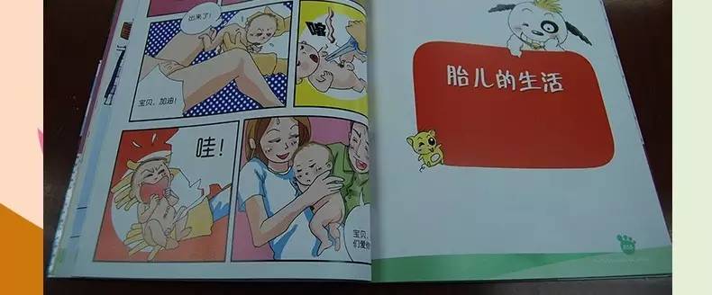 爸爸，泷泽萝拉是种花吗？为什么大家都要求种子呢？