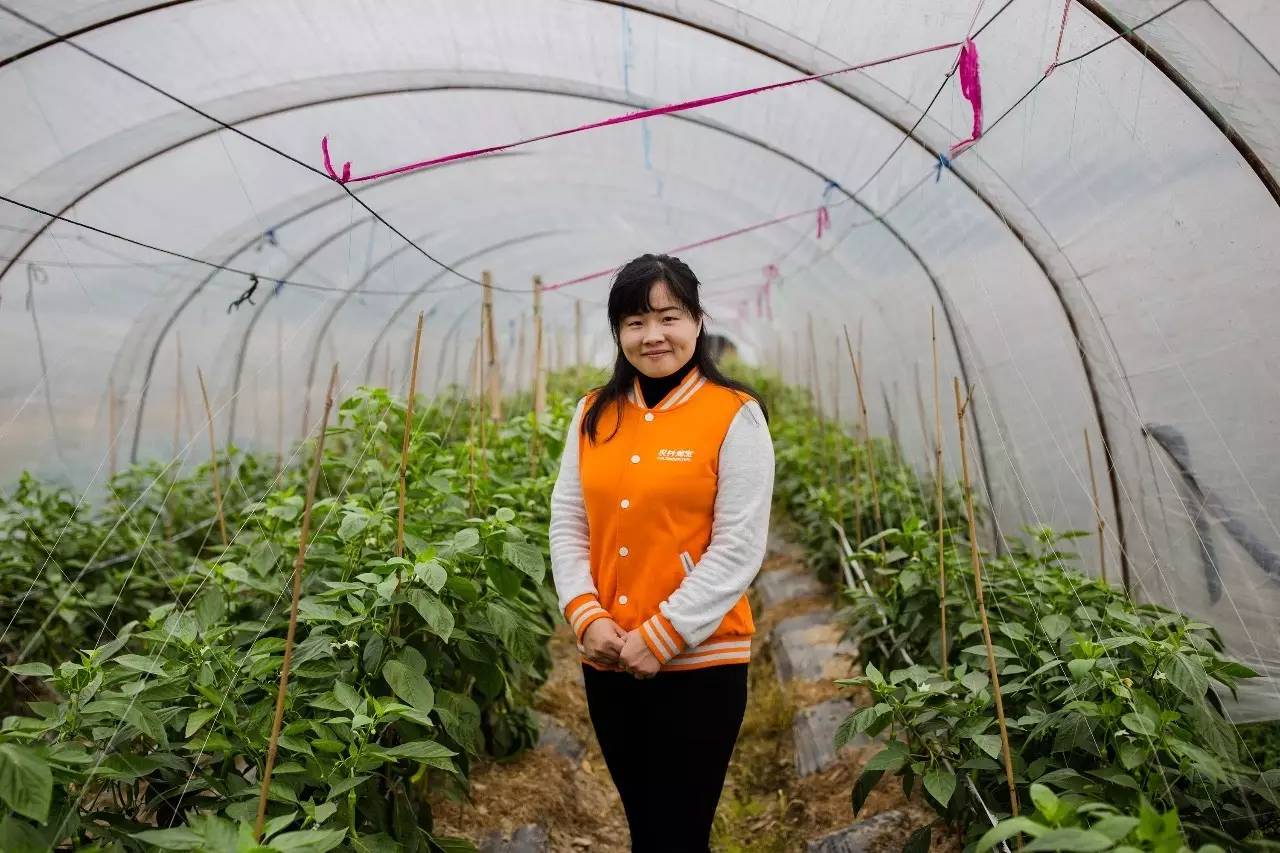 农村电商扶贫工作特点,农村电商扶贫案例