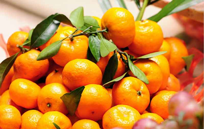 每天吃几个桔子才健康,每天吃一个桔子有什么好处
