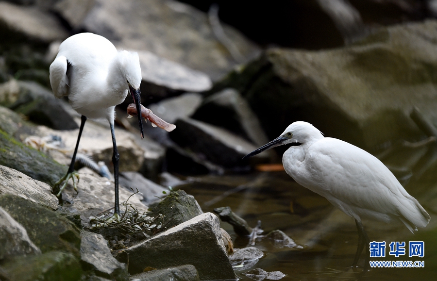 2017年1月份福建天气,福建1月份天气记录