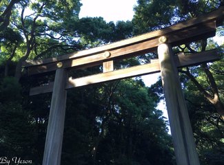 东京一日游城市美学,东京时尚街区