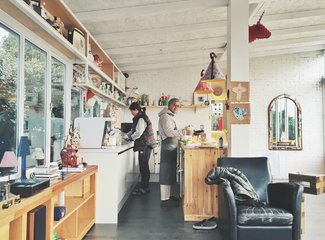 济州岛游记记录,济州岛的春天旅行日记