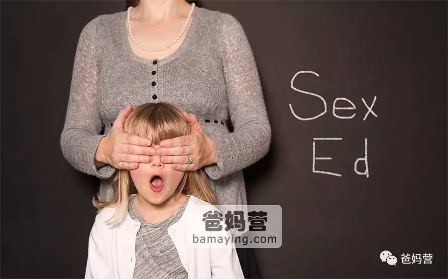 爸爸，泷泽萝拉是种花吗？为什么大家都要求种子呢？