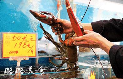 澳加新英美的稀奇海鲜都能在常州这家店吃到！而且元旦连送3天日本松叶蟹！