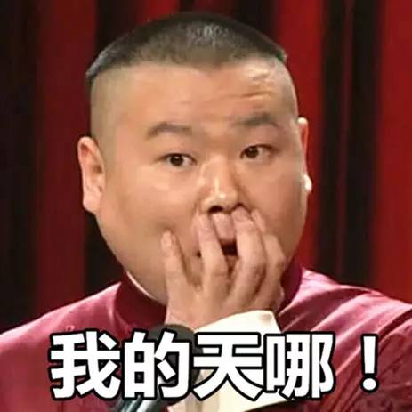 如何评价力哥说理财,力哥说理财是真是假