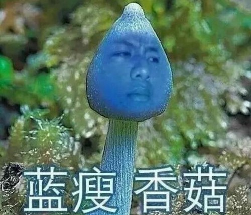 十大网络流行语有哪些,2016年度十大网络流行语