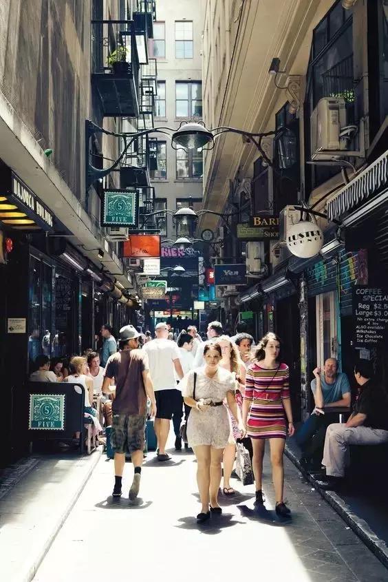 大象与大象拔河,与大象拔河比赛