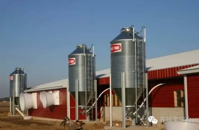 爱佳集团杨经理,杨文斌的养殖场