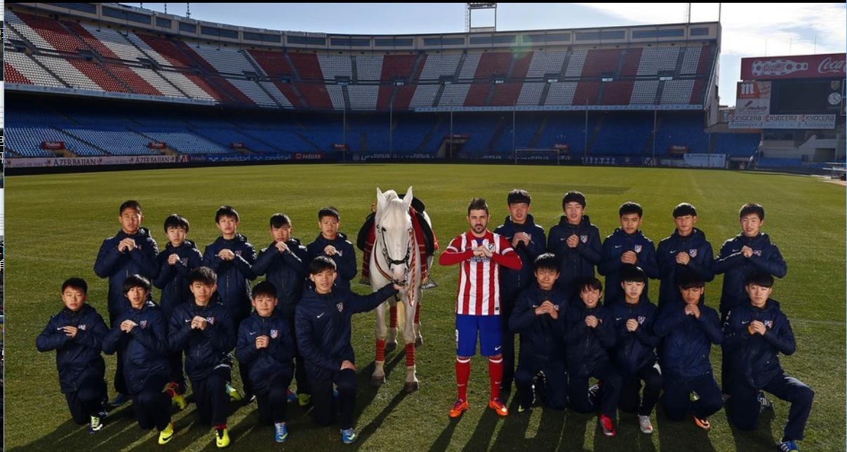 王健林世界杯赢了多少,王健林欧洲杯