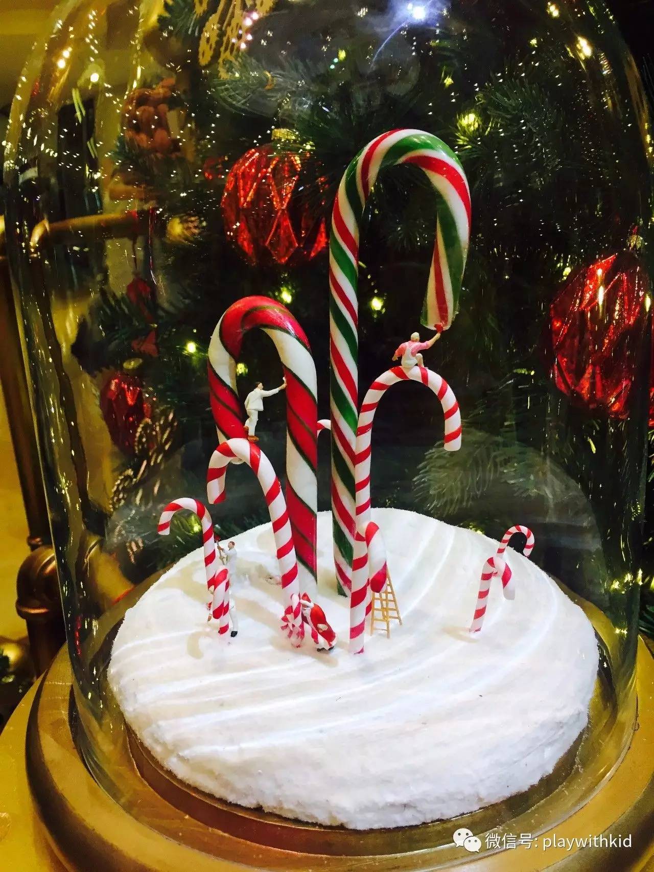 香港旅游攻略三日游自由行亲子,香港旅游带孩子5天自由行