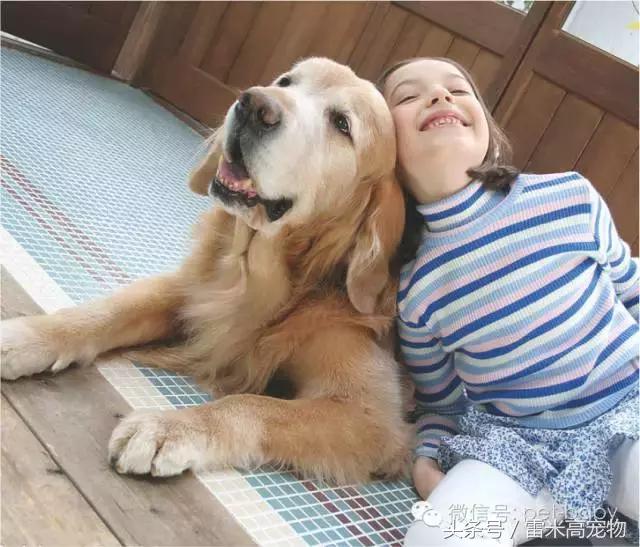 你知道养宠物狗需要些什么吗,你知道养狗狗好处有哪些吗