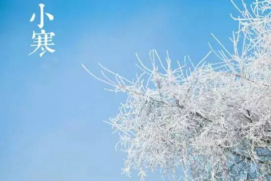 风吹腊梅香的诗句,风吹腊梅香时至小寒