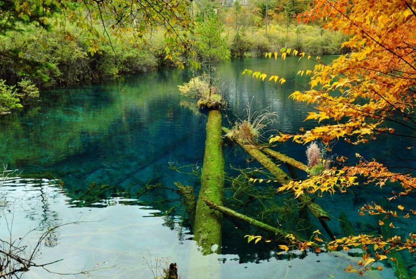 广东也能看到“九寨沟”这样的美景，还不止一个呢！