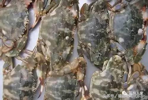 福建十大公认最好吃的菜,福建海鲜美食排行榜前十名