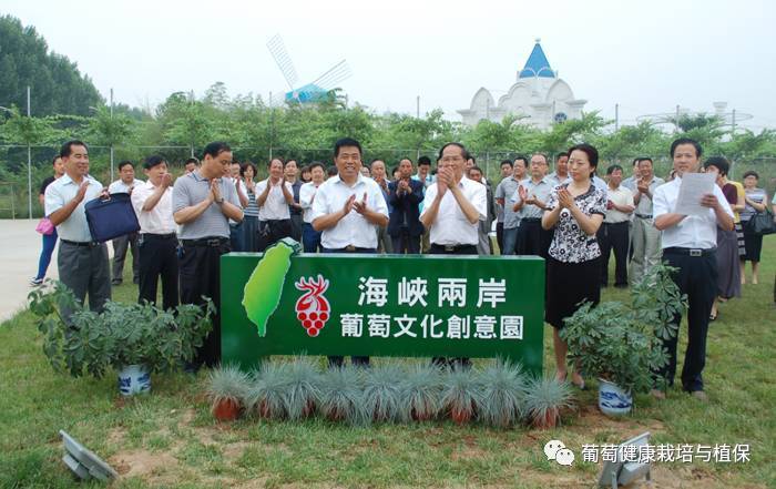 葡萄观光采摘方法视频,葡萄观光采摘园景观设施