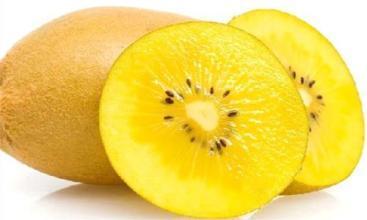 种养最挣钱的好项目,2023年最赚钱的养殖项目